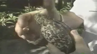 Licking Toads To Get High - 1990