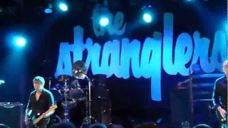 The Stranglers Convention 2011 - Shadows Live