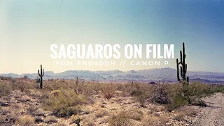 Photographing Saguaros On Film In The Sonoran Desert | Fuji Pro400H & Canon P