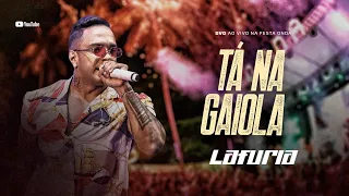 TÁ NA GAIOLA | LA FURIA - DVD AO VIVO NA FESTA ONDA