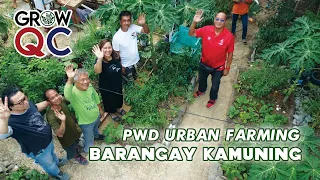 Urban Farming ng PWD sa Barangay Kamuning - GrowQC