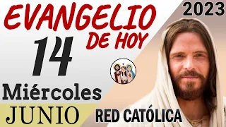 Evangelio de Hoy Miercoles 14 de Junio de 2023 | REFLEXIÓN | Red Catolica