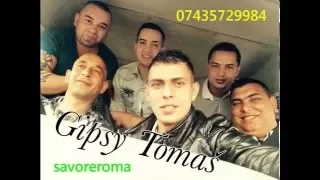 Gipsy Tomas Newcastle 2016 3