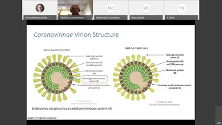 Respiratory Pathogens Series 3: Coronaviridae and ViPR