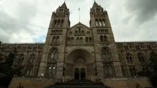 Museum Secrets: Inside the Natural History Museum (Trailer)