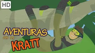 Aventuras con los Kratt - Estofado De Selva (HD)