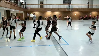 THE UNGUARDABLES  VS  KO ELITE GAM4  12/13U  5/4/24  @ BAMMEL   PART   4