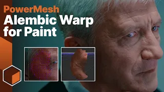 PowerMesh Rendering for Texture Painting with Alembic data [Boris FX Mocha Pro]