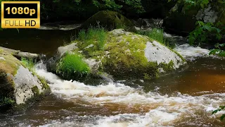 The sound of the river in the forest and rocks