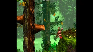 DKC4 greenleaf grove