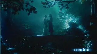 everlong | aragorn & arwen