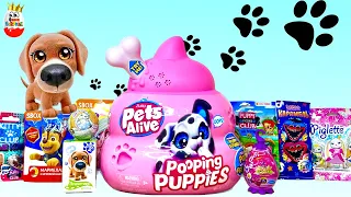 SURPRISE MIX PETS! POOPING PUPPIES Pets Alive, Sush BABY World, Piglette unboxing