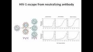 Virology 2012 Lecture #18: HIV pathogenesis