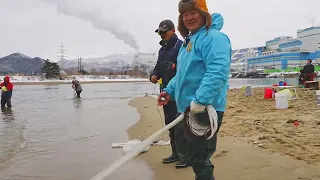 발 옆에 물고기가 다니는데 왜 못잡아! 3m 폭설 왔다는 강릉 염전해변 낚시 투망 가보자!