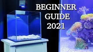 No money, no problem - REEF TANK BASICS - "how to start a saltwater aquarium" BEGINNER GUIDE 2021