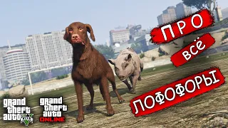 ВСË про ЛОФОФОРЫ в GTA 5/GTA Online