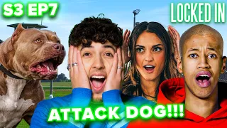 HOUSEMATES SHAVE MAX'S HEAD - ATTACK DOG CHALLENGE!! | Locked In S3 Ep7