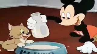 Disney's Crazy Cat Collection - Feline Fun with Mickey, Donald, Pluto, Figaro, Goofy!
