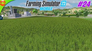 Big Grass Field! Plowing and Replanting Grass | Farming Simulator 23 Amberstone #24