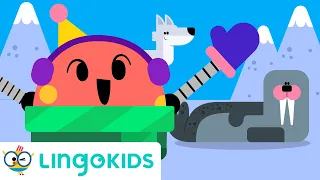 Polar Animals Song 🐻‍❄️🦭  Arctic Animals for Kids | Lingokids