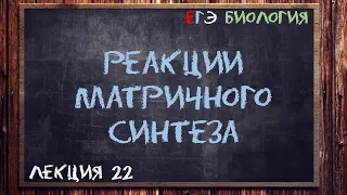 Л.22 | РЕАКЦИИ МАТРИЧНОГО СИНТЕЗА | ОБЩАЯ БИОЛОГИЯ ЕГЭ