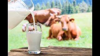 Экспресс тесты для определения качества молока