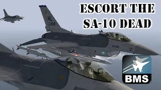 Falcon BMS | F-16C SPICY Escort SA-10 Strike Flight Mission