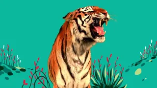 StoryBots - Tigre