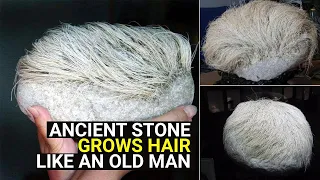 Ancient stone grows hair like an old man