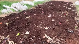 How to grow a worm garden, and a nursery at the same place compost scraps vegetables, Hydrotilling