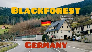 A trip through the Black Forest. Germany 🇩🇪🇩🇪🇩🇪