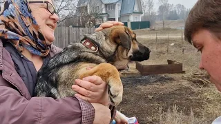 Подписчики канала взяли из приюта двух собак 🙏❤️ которые щенками попали в беду и были нами спасены.