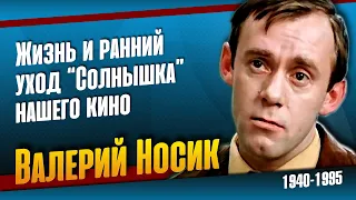 Валерий Носик. Для всех окружающих он был неизменно "Солнышко".