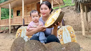 A 17-year-old single mother and her children harvest jackfruit to sell - fence poultry cages - cook