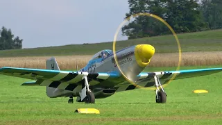 German P-51 Mustang airshow display flight