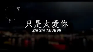 丁芙妮DingFuNi 《只是太爱你》Zhi Shi Tai Ai Ni 歌词版