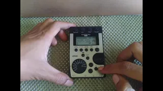 pandora px4d korg toneworks test unit toped