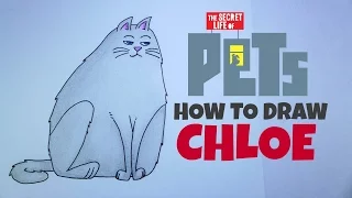 How to Draw Chloe from The Secret Life of Pets Movie 2016 Cartoon Drawing