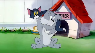 Tom and Jerry - Episode 44 - Love That Pup (AI Remastered) #tomandjerry #remastered #1440p