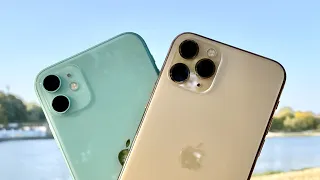 Полное сравнение iPhone 11 и 11 Pro