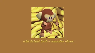 a birds last look - macabre plaza ( that one part slowed + reverb )