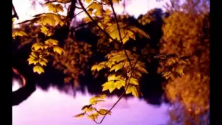 "Осень" Music Sergey CHEKALIN. "Autumn". Beautiful  russian music. Muzik Rusia yang indah.