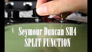 [NIRVANA TONE] SEYMOUR DUNCAN SH4 / SPLIT FUNCTION [CLEAN SOUND]