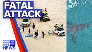 15 year old boy dies after shark attack | 9 News Australia