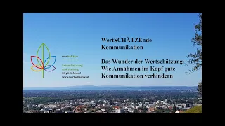 #133   wertschätze   Das Wunder der Wertschätzung 01 Annahmen im Kopf