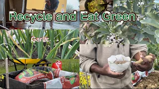 Eat Green and what to Recycle for your Garden. Climate change is Real