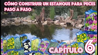 Cómo construir un estanque para peces paso a paso - Capítulo 6 - Las plantas 🌿acuáticas y palustres