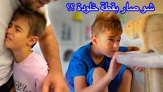 شو صار بقطة خلودة (ياترى لسا عايشة🥹)