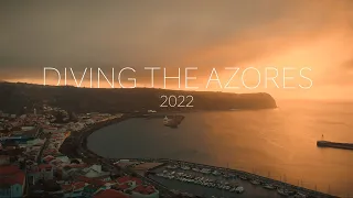 DIVING THE AZORES | 2022 | HORTA