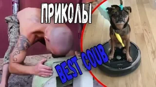 #ПРИКОЛЫ за Июнь 2018 | BEST COUB 2018 ▶ 52